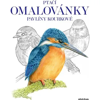 Umění Ptačí omalovánky Pavlíny Kourkové