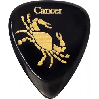 Strunný nástroj Timber Tones Zodiac Tones Cancer + prodloužená záruka 3 roky