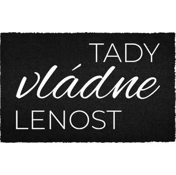 Rohožka Kokosová rohožka černá vstupní do domu Dárek Lenost vládne 60x40