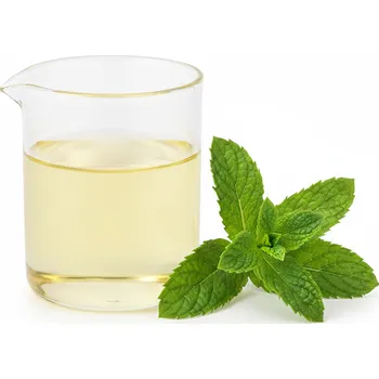 Vonný olej Máta peprná, esenciální olej 10 ml