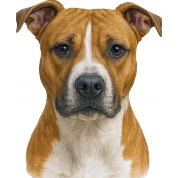 Samolepicí dekorace na vozidlo SAMOLEPKA na Auto | AMSTAFF LÁSKA PŘÍTEL PES DOG LOVER TISK