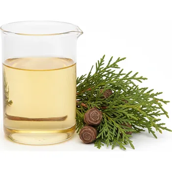 Vonný olej Cypřiš stálezelený, esenciální olej 100 ml