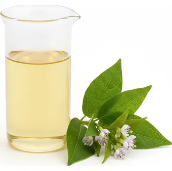 Vůně do bytu Patchouli, esenciální olej 10 ml