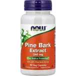 NOW Foods Pine Bark Extract, 240mg - 90 kapslí