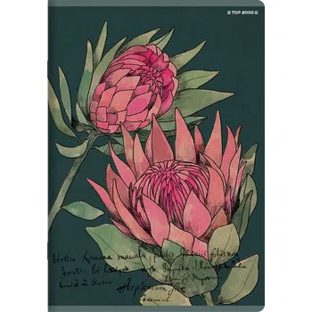 Sešit Sešit A5 linkovaný TOP-2000 60 listů