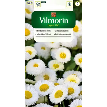 Semeno SEDMIKRÁSKA LUČNÍ DROBNÁ / Bellis perennis L.