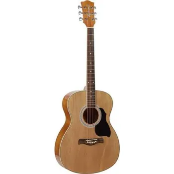 Akustická kytara Richwood Artist Series RA-12, Akustická kytara auditorium