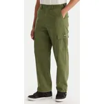 Cargo kalhoty DC Shoes