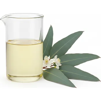Vonný olej Eucalyptus mentolový, esenciální olej 10 ml
