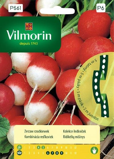 KOLEKCE ŘEDKVIČEK - VÝSEVNÁ PÁSKA / Raphanus sativus L. var. radicula Pers.