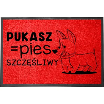 Rohožka Hotová rohožka z plastu, PVC 60 x 40 cm