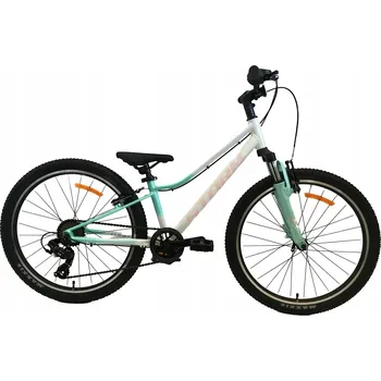 Dětské kolo Kolo STORM QUEEN 24 2VBR bílo-modré