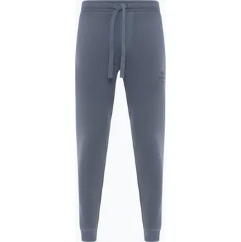 Pánské kalhoty Pánské kalhoty Aeronautica Militare Flying Team dark blue washed