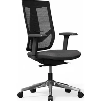 Ergonomická židle BS6B-lite s 8směrným nastavením opěradla, černá - A FLEXISPOT