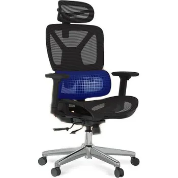 Ergonomická kancelářská židle ErgoX s výškově nastavitelným sedákem, černá - B FLEXISPOT