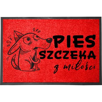 Rohožka Hotová rohožka z plastu, PVC 60 x 40 cm