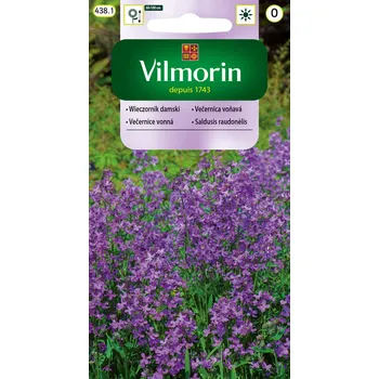 Semeno VEČERNICE VONNÁ / Hesperis matronalis
