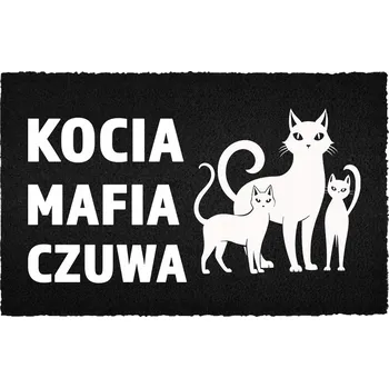 Rohožka Hotová gumová rohožka, PVC 60 x 40 cm