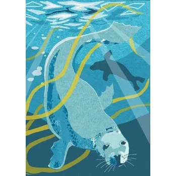 Sešit Nature Notebook: Seal - Smith, Jane