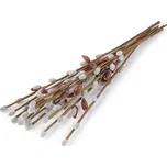 Stoklasa Umělé kočičky 42 cm 12 ks…