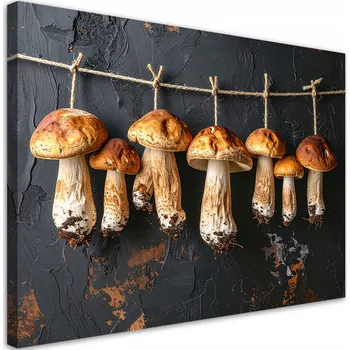 Obraz Obraz do kuchyně restaurace baru jídelny, Sušené houby hřiby 60x40