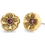 COACH Náušnice zlatá