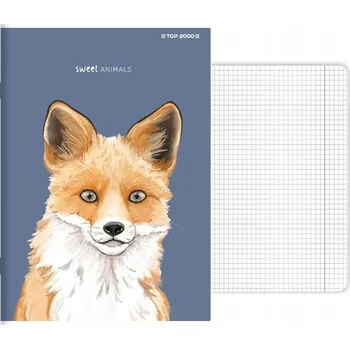 Sešit Sešit A5 s mřížkou Hamelin, 96 listů