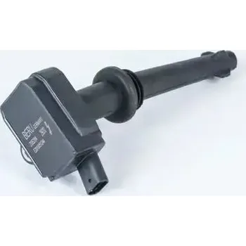 Zapalovací cívka Zapalovací cívka BorgWarner ZSE204