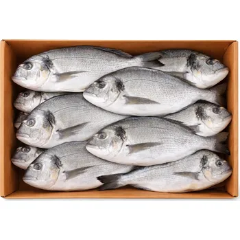 Sušená potravina Pražma (dorada) polosušená