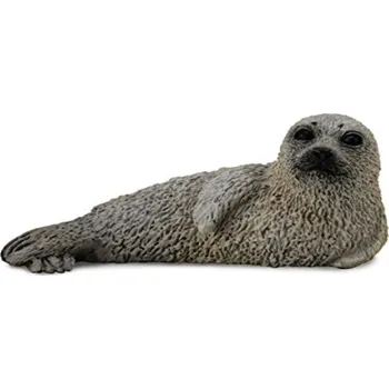 Mladý tuleň Tuleň S