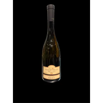 Tanzberg Pálava 2024