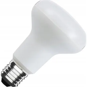 Žárovka LED žárovka Eco Light E27 230V 12W