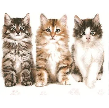 Papírový ubrousek Ubrousky MAKI L (20ks) Three Beautiful Cats