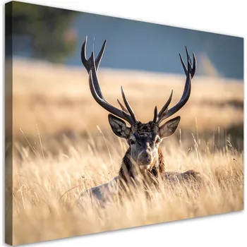 Obraz Obraz do obýváku ložnice kanceláře, Jelen na louce krajina příroda 45x30