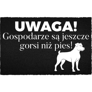 Rohožka KOKOSOVÁ VSTUPNÍ ROHOŽKA 40X60 ČERNÁ S VTIPNÝM NÁPIS "PÁN DOMÁCÍ > PES"