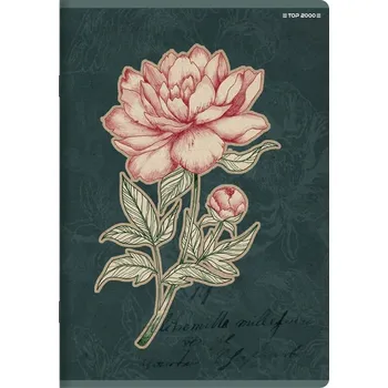 Sešit Sešit A5 s linkami (mřížka) TOP-2000, 32 listů