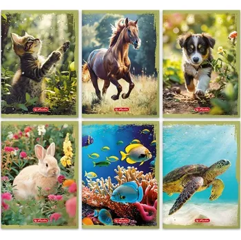 Sešit Sešit A5 s linkami Herlitz, 32 listů