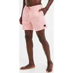 Pánské plážové šortky Protest PRTMANAMA