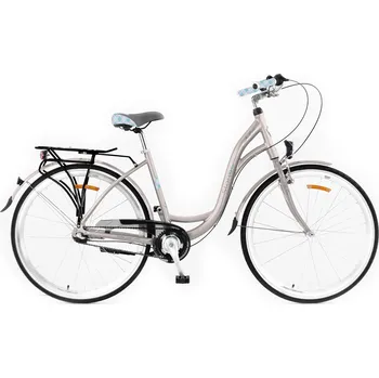 Městské kolo Městské kolo Storm Paris 28 3S, rám 17 palců, kola 28", šedé