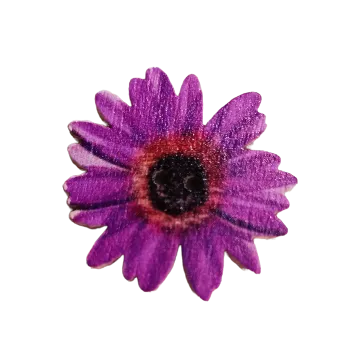 Knoflík Knoflík dřevěný fialový květ