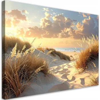 Obraz Obraz do obýváku, ložnice, kanceláře, Pláž a duny při západu slunce 45x30