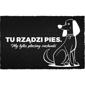 Rohožka KOKOSOVÁ ROHOŽKA 40X60 ČERNÁ HUMOR NÁPIS ZDE VLÁDNE PES, MY PLATÍME