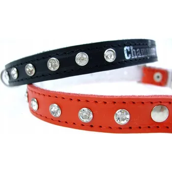 Obojek pro psa Kožený obojek pro psa Champion vel. M