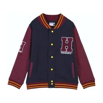 Pánská mikina MIKINA HARRY POTTER - velikost 10 (cs, Forkids)