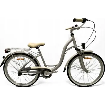 Městské kolo Kolo STORM DUBLIN 26 NEXUS 3 AMT stříbrné 15