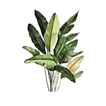 samolepka Samolepky - listy rostlin IV (sada 5 ks)