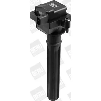 Zapalovací cívka Zapalovací cívka BorgWarner ZS431