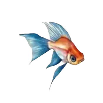 samolepka Samolepky - mořský svět I (sada 5 ks)