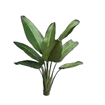 samolepka Samolepky - listy rostlin VII (sada 5 ks)