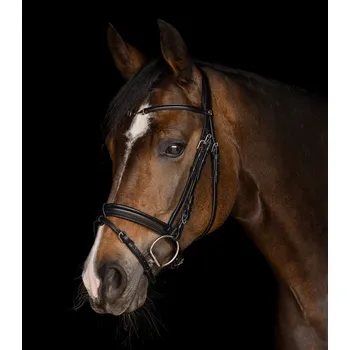 Sport Anatomická uzdečka Waldhausen X-Line Charmbit černá COB